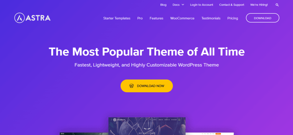 Astra, WordPress theme for blogs