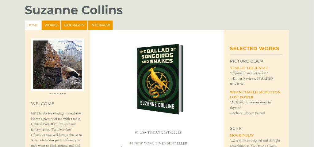 Suzanne Collin's Books bad website design
